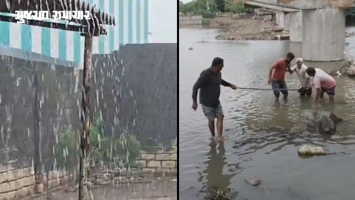 અમરેલી: જાફરાબાદ પંથકમાં ધોધમાર વરસાદ, લાઠીની ગાગડિયા નદીમાં ફસાયેલા વૃદ્ધનું કરાયું રેસ્ક્યૂ