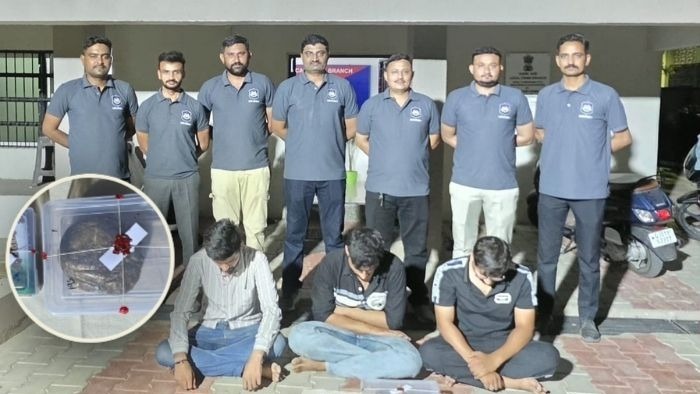 Ahmedabad LCB Seizes ₹1.82 Crore Suspected Ambergris, 3 arrested