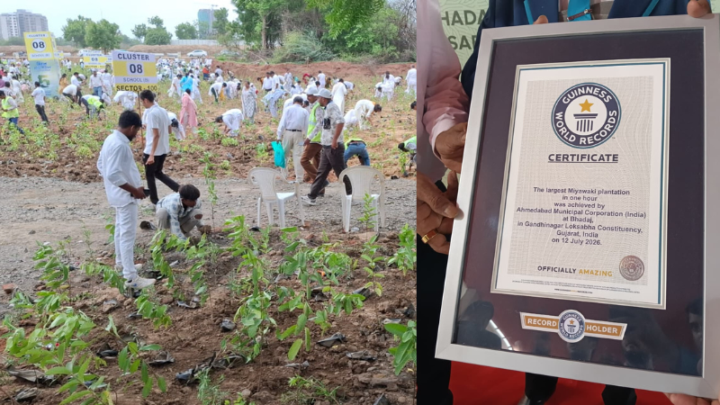 Ahmedabad Creates History, Enters Guinness World Records After Planting 3.61 Lakh Trees in One Hour