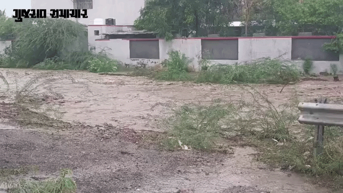 GujaratSamachar-2026-07-04T204208.220-ezgif.com-video-to-gif-converter.gif