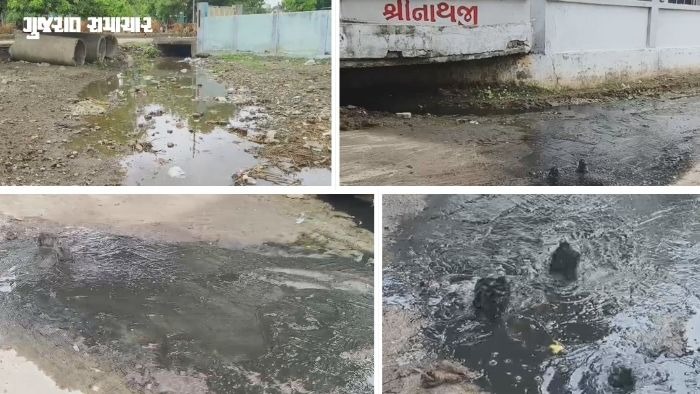 સાવરકુંડલામાં ઉભરાયો 'વિકાસ': અનેક સોસાયટીઓમાં ગટરોના પાણી ફરી વળ્યા, પાલિકા પ્રમુખ-ઉપપ્રમુખના ઘર પાસે જ નરી ગંદકી