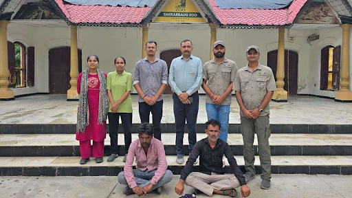 Posted for Likes, Ended in Custody: Tiger Teasing Video Backfires on Duo in Junagadh