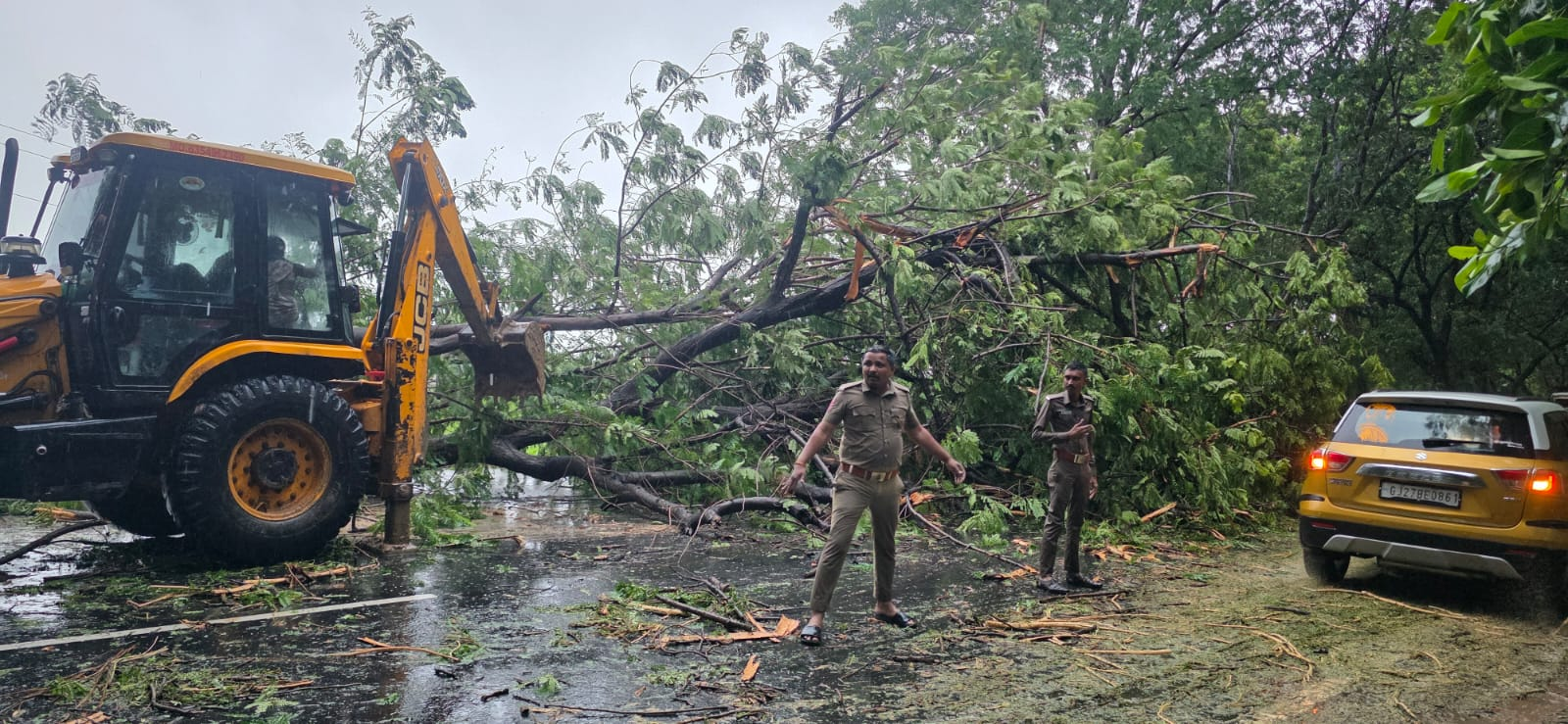 Tree falls on Sanand–Nalsarovar Road amid heavy rain, traffic affected