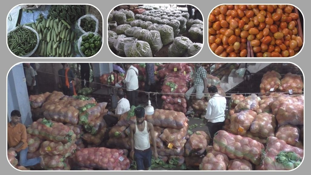 સુરતમાં શાકભાજીના ભાવ આસમાને: ભારે વરસાદથી પાક ધોવાઈ જતાં અને ટ્રાન્સપોર્ટેશન ખોરવાતાં આવકમાં મોટો ઘટાડો