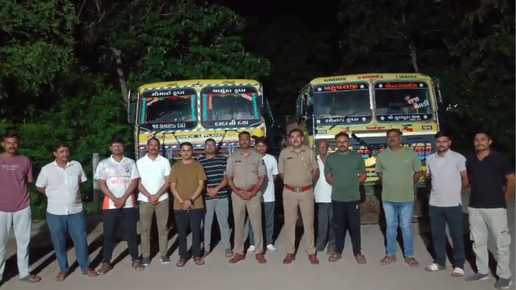 અમરેલી: લીલીયામાં મામલતદાર અને પોલીસની ટીમના ખનિજ માફિયાઓ સામે મોડી રાત્રે દરોડા, 5 ડમ્પર ઝડપાયા