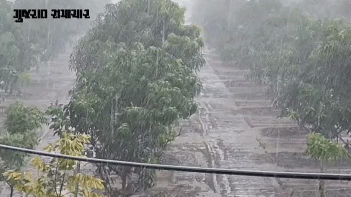 GujaratSamachar-2026-07-04T170634.408-ezgif.com-video-to-gif-converter.gif