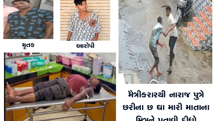 મૈત્રીકરારથી નારાજ પુત્રે છરીના છ ઘા મારી માતાના મિત્રને પતાવી દીધો
