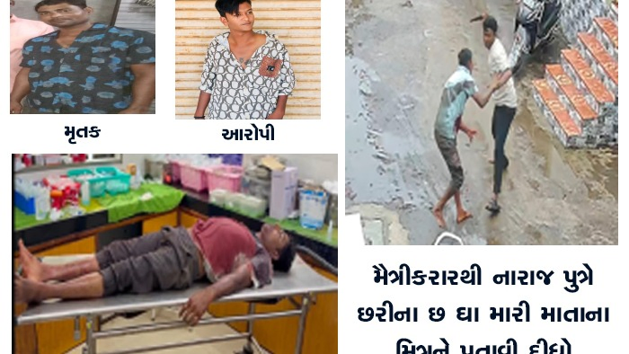 મૈત્રીકરારથી નારાજ પુત્રે છરીના છ ઘા મારી માતાના મિત્રને પતાવી દીધો