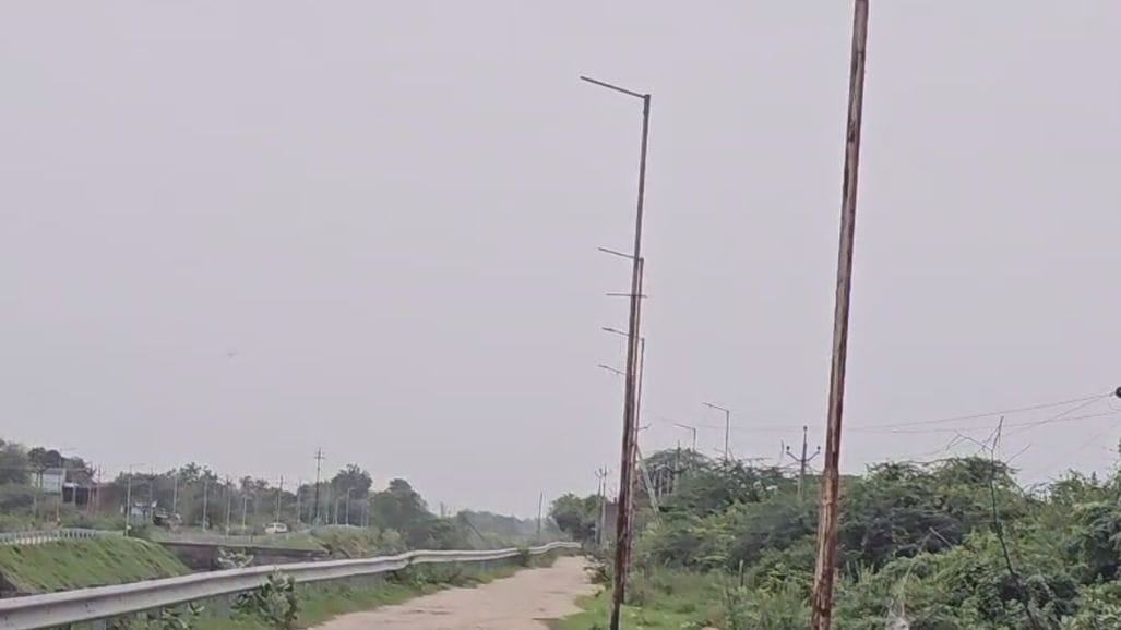 પંચમહાલમાં કેનાલ કિનારે મગરનો ભય!