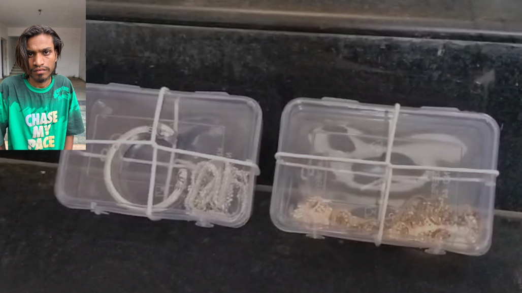 Enmity Triggers ₹6.56-Lakh House Theft in Ahmedabad: Youth Arrested, Minor Apprehended as Stolen Jewellery Recovered