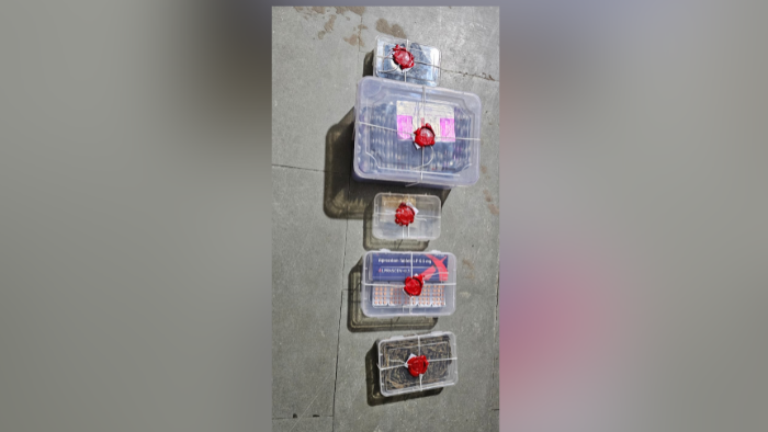 Narol Police Arrest Man With Mephedrone, Cannabis And 650 Tablets Worth ₹1.17 Lakh