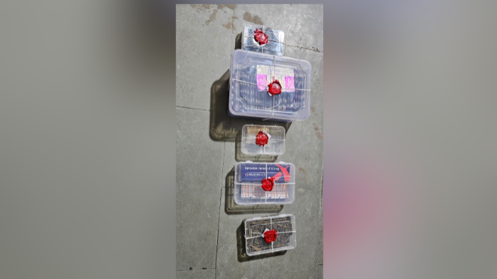 Narol Police Arrest Man With Mephedrone, Cannabis And 650 Tablets Worth ₹1.17 Lakh