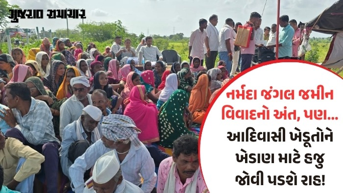નર્મદા જંગલ જમીન વિવાદનો અંત! 23 દિવસે જાગ્યું તંત્ર અને સરકાર, ભાજપના આદિવાસી નેતાઓની અસમર્થતા છતી થઈ!