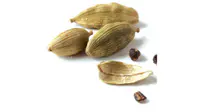 અજમાવી જૂઓ અજમાવી જૂઓ