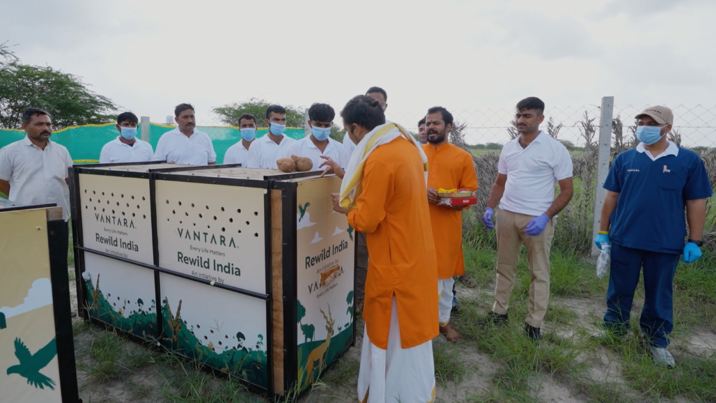 Vantara Gujarat Forest Department (3).png