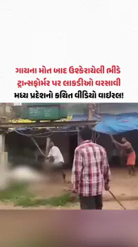 `ગાયના મોત બાદ ઉશ્કેરાયેલી ભીડે ટ્રાન્સફોર્મર પર લાકડીઓ વરસાવી, MPનો કથિત વીડિયો વાઇરલ! `ગાયના મોત બાદ ઉશ્કેરાયેલી ભીડે ટ્રાન્સફોર્મર પર લાકડીઓ વરસાવી, MPનો કથિત વીડિયો વાઇરલ!