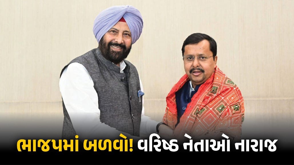પંજાબ ભાજપમાં બળવો: રાજીનામાથી હાઈકમાન્ડ ચિંતિત, દિગ્ગજ નેતાઓને દિલ્હી તેડું