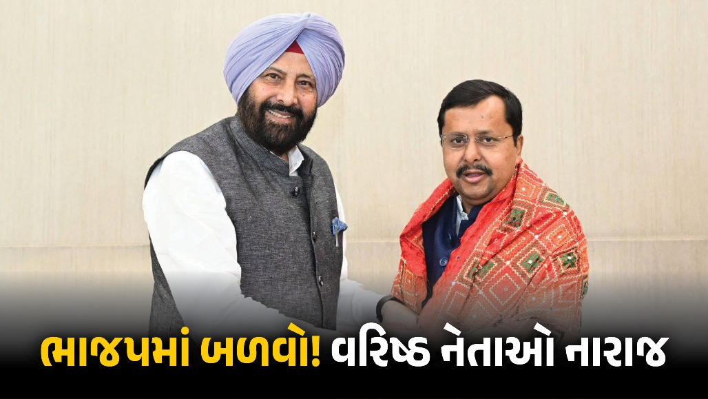 ભાજપમાં બળવો! એક બાદ એક રાજીનામાંથી હાઈકમાન્ડ ચિંતિત, દિગ્ગજ નેતાને દિલ્હીનું તેડું