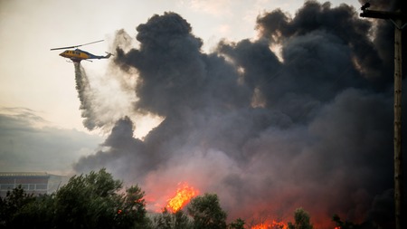 Wildfire Scorches 2,000 Hectares in Eastern Belgium