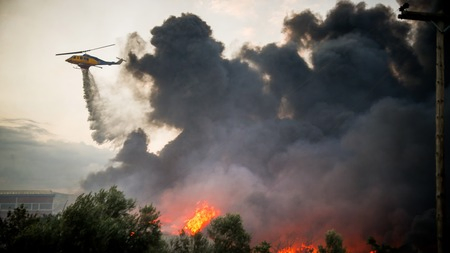 Wildfire Scorches 2,000 Hectares in Eastern Belgium