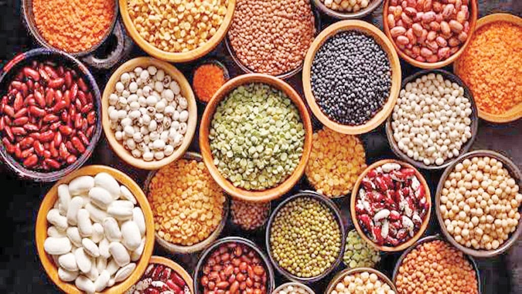 અલ નિનોના કારણે ભાવ વધે તો બફર સ્ટોકમાંથી કઠોળ મુક્ત કરાશે