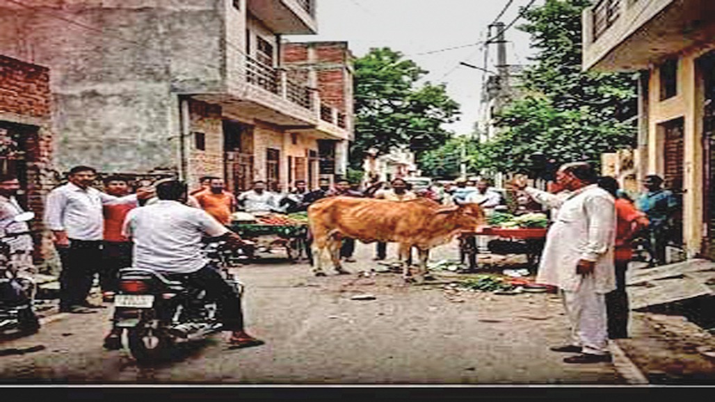 ગાય હિંસક બની જાય ત્યારે દીકરીની કેવી હાલત થાય?
