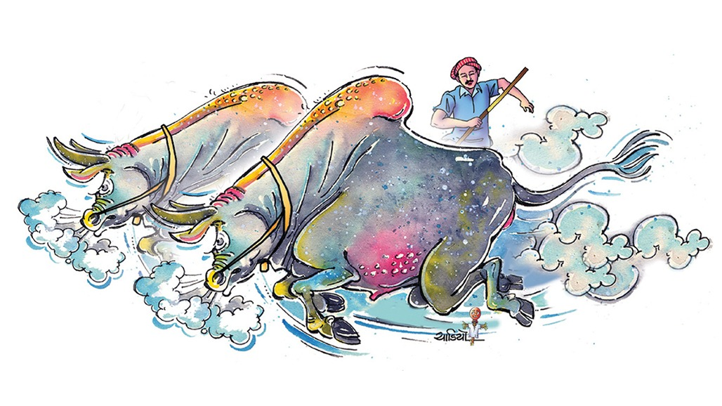 બળદોની જોડી