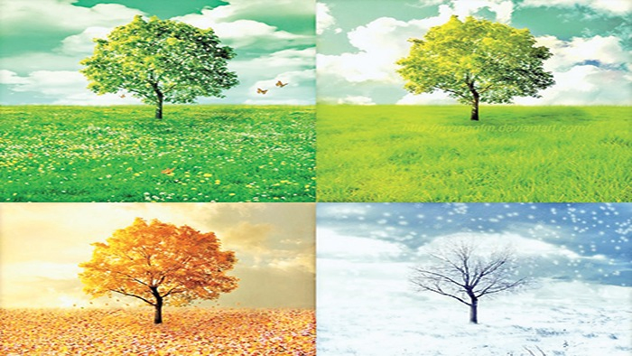 Why Is It Cold in One Country, Rainy in Another, and Hot in Yet Another?