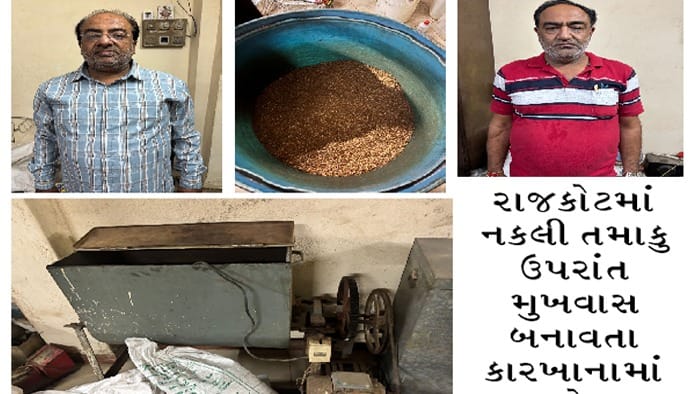 રાજકોટમાં નકલી તમાકુ-મુખવાસ બનાવતા કારખાના પર SOGનો દરોડો
