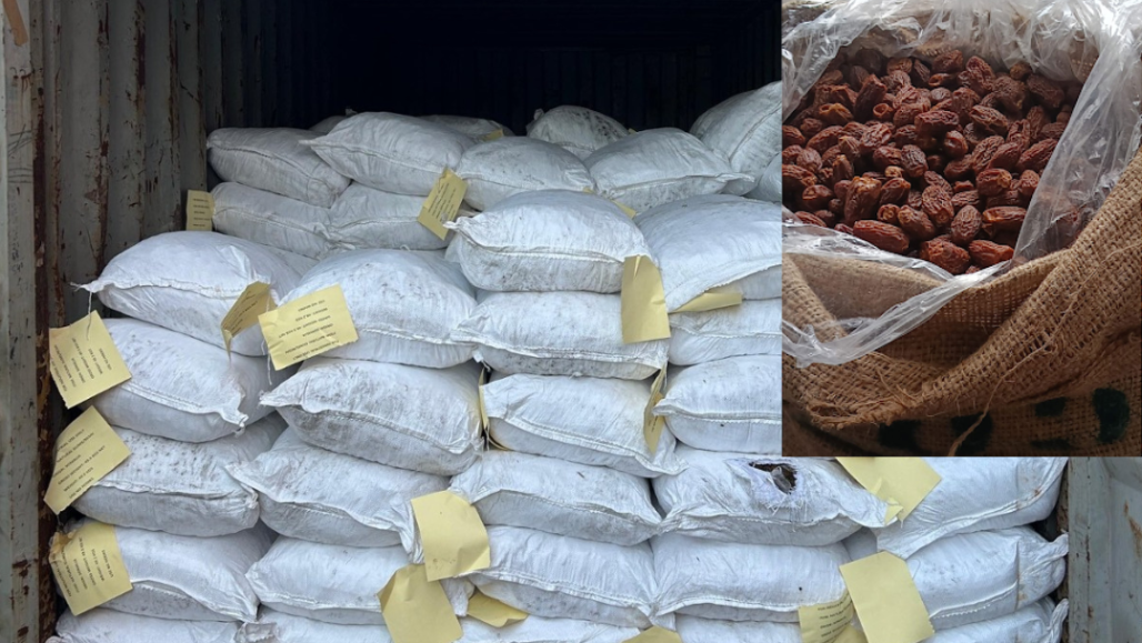 DRI Seizes 364 MT Of Pakistan-Origin Dry Dates Worth ₹3 Crore At Kandla, Finds Alleged UAE Routing