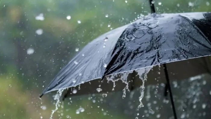 IMD Issues Yellow Alert for Parts of Gujarat as Monsoon Activity Set to Intensify This Weekend