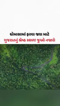 સાપુતારામાં 'મોન્સૂન ફેસ્ટિવલ-2026'નો પ્રારંભ, 29 ઓગસ્ટ સુધી જામશે પ્રકૃતિ અને સંસ્કૃતિનો સંગમ સાપુતારામાં 'મોન્સૂન ફેસ્ટિવલ-2026'નો પ્રારંભ, 29 ઓગસ્ટ સુધી જામશે પ્રકૃતિ અને સંસ્કૃતિનો સંગમ