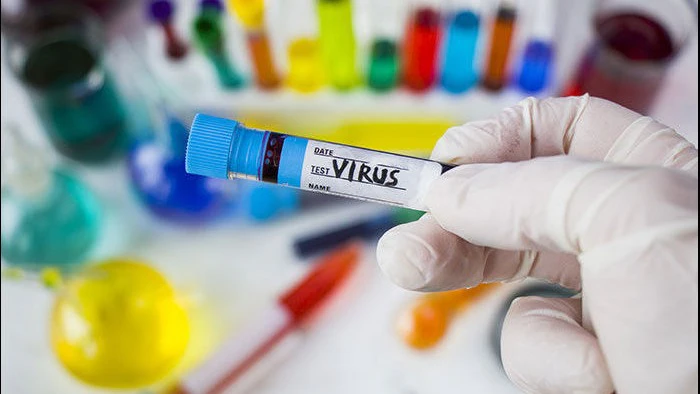 Chandipura Virus Cases Rise In Gujarat, Testing Intensified; 257 Suspected Cases, 27 Deaths