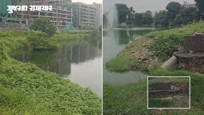VIDEO: અમદાવાદમાં તળાવોની સફાઈ માત્ર નાટક, વર્ષે 7થી 8 કરોડનો ધુમાડો છતાં ગંદકીનું સામ્રાજ્ય, કમિટી ચેરમેને અધિકારીઓને તતડાવ્યા