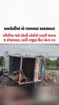 અમરેલીથી લીલીયા જઇ રહેલી બોલેરો પલટી મારતા 9 ઇજાગ્રસ્ત, ધારી નજીક હિટ એન્ડ રન અમરેલીથી લીલીયા જઇ રહેલી બોલેરો પલટી મારતા 9 ઇજાગ્રસ્ત, ધારી નજીક હિટ એન્ડ રન