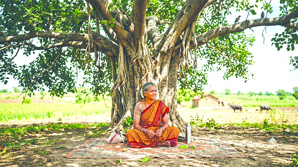 મહેનત વગર મળેલું કલ્પવૃક્ષ પણ નકામુ