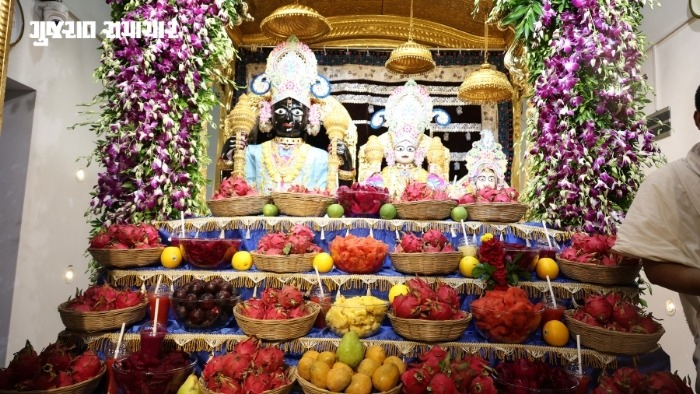 વડતાલ ધામમાં હરિ જયંતી પર ઉજવાયો અનોખો ઉત્સવ: 200 કિલો ડ્રેગન ફ્રૂટનો અન્નકૂટ ધરાવાયો, દર્શન માટે હરિભક્તો ઉમટ્યા