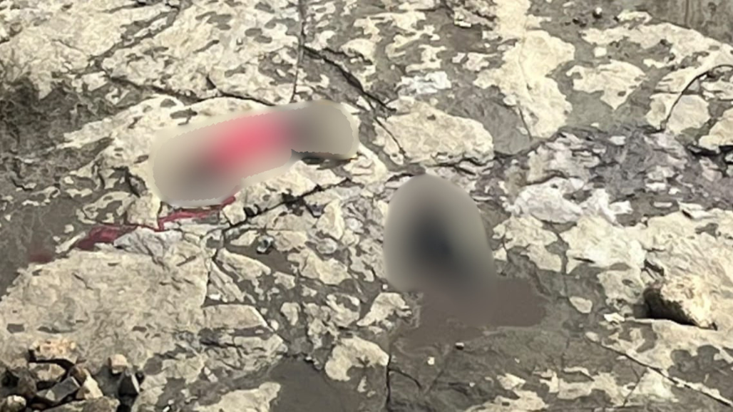 Two Cousin Sisters Jump From Silvassa’s Rakholi Bridge, 17-Year-Old Dies on Impact