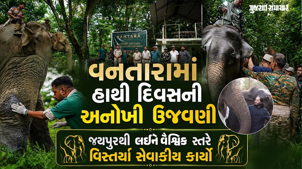 વનતારા દ્વારા હાથી સંરક્ષણ માટે નવી પહેલ!