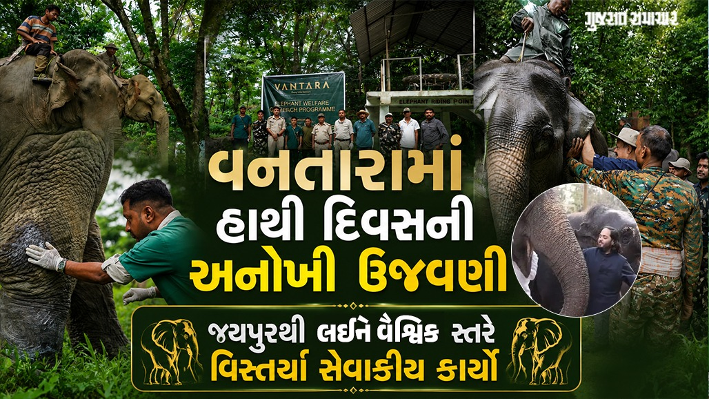 વનતારામાં હાથીઓના સંરક્ષણ માટે અનેક પહેલની જાહેરાત, અનંત અંબાણીએ કહ્યું- હાથીઓનું મારા હૃદયમાં ખાસ સ્થાન છે