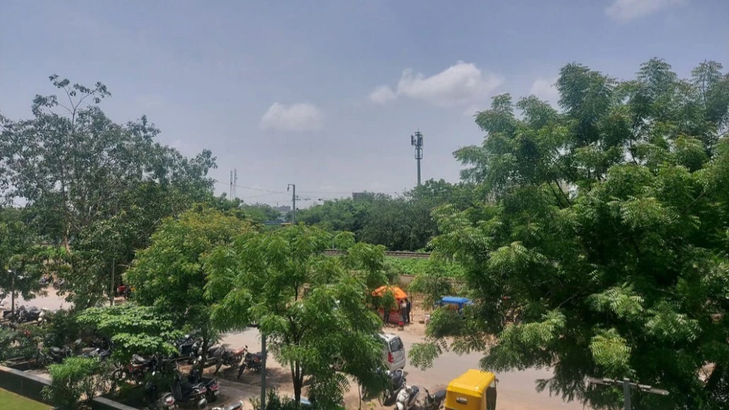 ₹6 Crore For 20,000 Saplings: AMC Faces Flak Over Costly ₹3,000 Per Tree Plantation Proposal