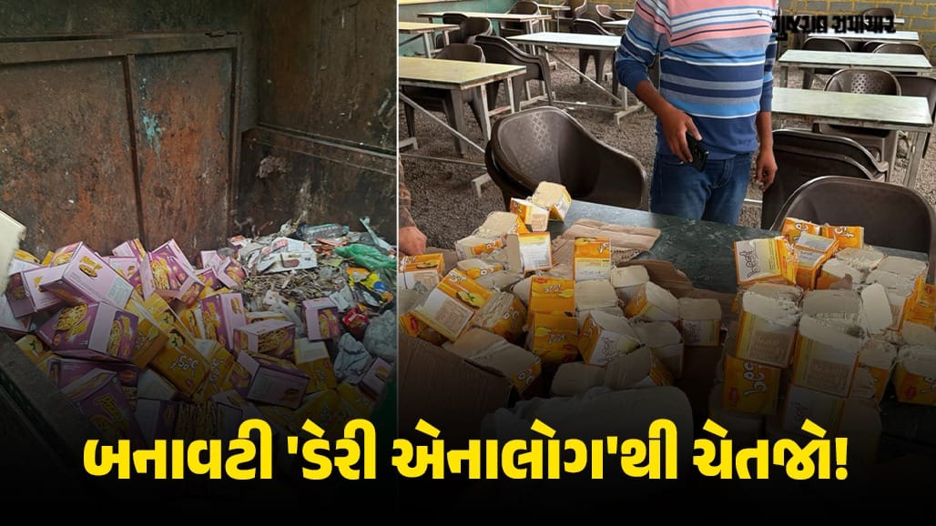 ગુજરાત FDCA દ્વારા બનાવટી ડેરી એનાલોગ્સ સામે મોટી કાર્યવાહી, 5.28 લાખનો જથ્થો ઝડપાયો
