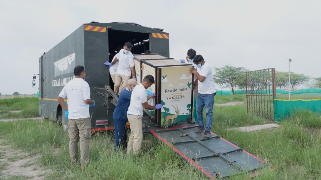Vantara Gujarat Forest Department (2).png