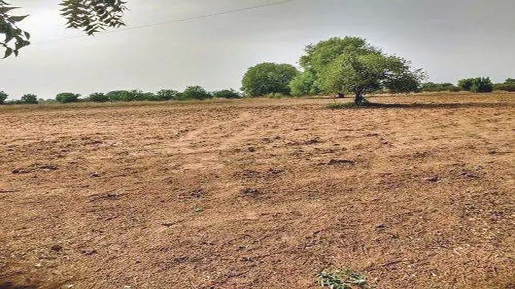 જમીન-મિલ્કત વેચાણ દસ્તાવેજ: હક્કપત્રકમાં ફેરફાર માટે નવા સુધારા.