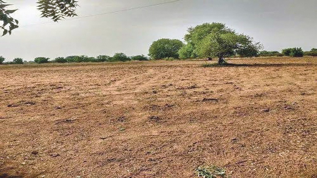જમીન-મિલ્કત વેચાણ દસ્તાવેજના આધારે હક્કપત્રકમાં ફેરફાર કરવા અંગે જમીન મહેસૂલ અધિનિયમમાં સુધારો