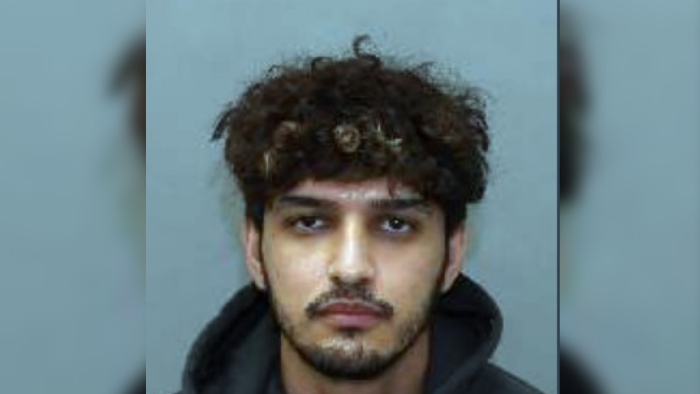 Man Arrested Months After Indian-Origin Woman Was Murdered in Toronto
