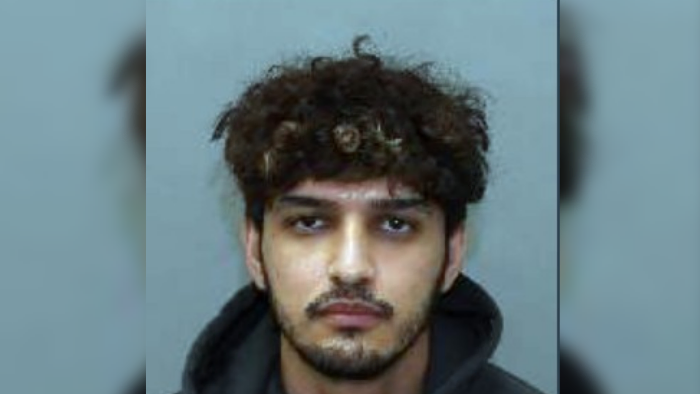 Man Arrested Months After Indian-Origin Woman Was Murdered in Toronto