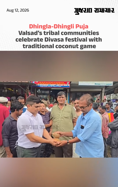Dhingla-Dhingli Puja: Valsad’s tribal communities celebrate Divasa with traditional coconut game