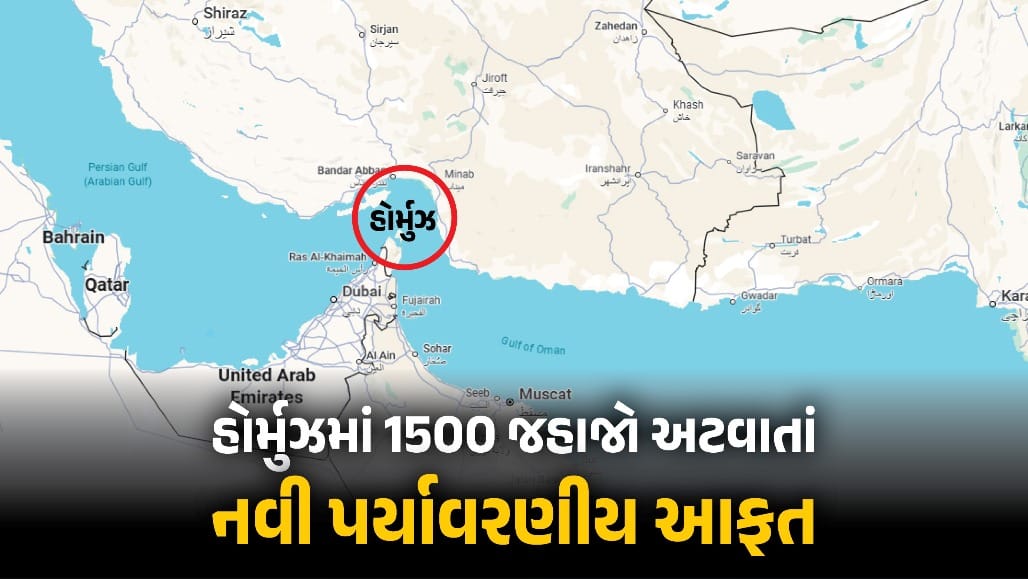 હૉર્મુઝમાં ૧૫૦૦ જહાજોમાં ‘બાયોફાઉલિંગ’નું જોખમ!