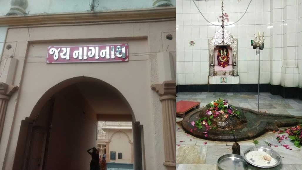 Nagnath Mahadev (2).jpg